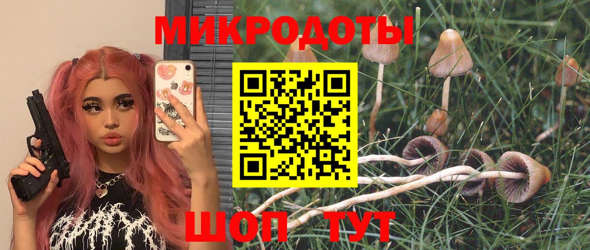 Кропоткин  Галлюциногенные грибы GOLDEN TEACHER  Вход с VPN 