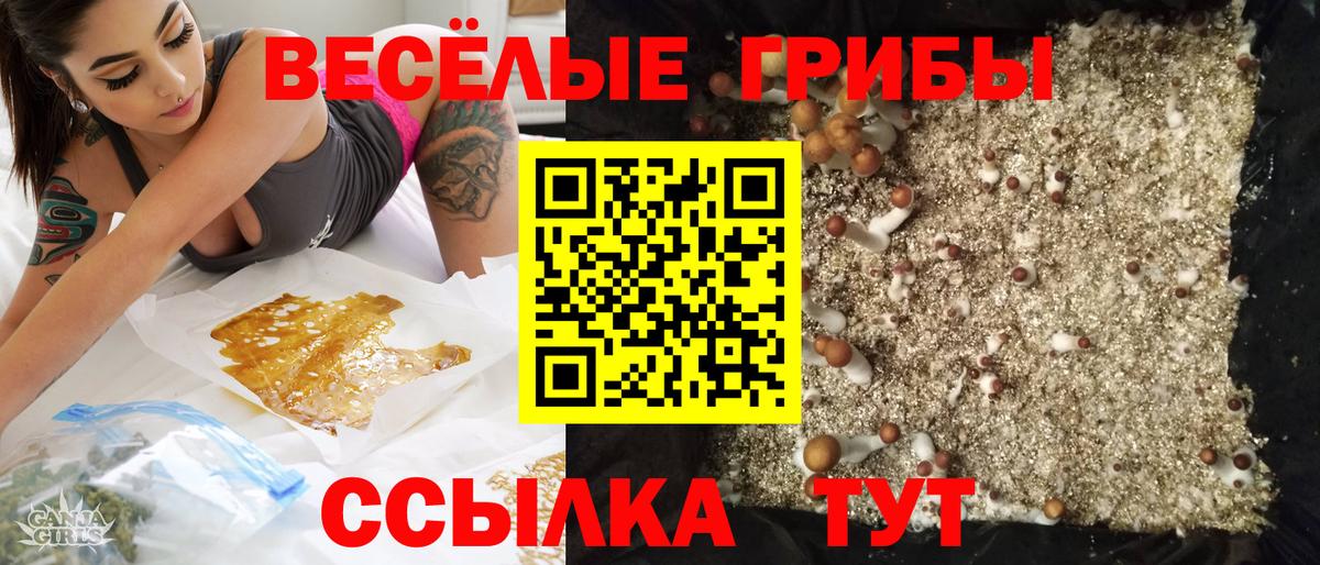Галлюциногенные грибы GOLDEN TEACHER Кропоткин