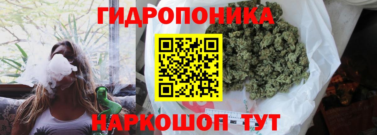 Кропоткин  Бошки Шишки AK-47  Конопля планчик  Вход с VPN  Бошки марихуана SATIVA & INDICA  Шишки марихуана SATIVA & INDICA 